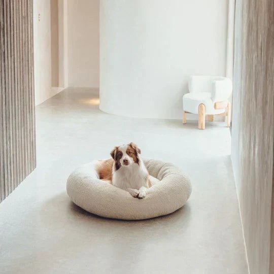 Luxury Boucle Dog Bed - Image 2