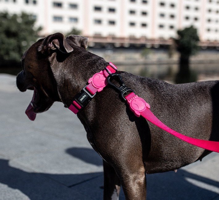 Pink LED | Adjustable Air Mesh Harness - Image 11