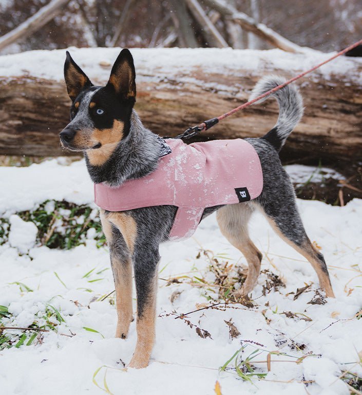 Pink | Coat - Image 6